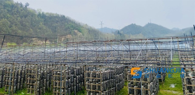 1649381384110799.jpg 16-55-18-42-283825.jpg