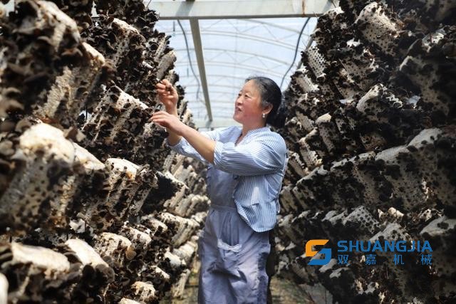 1650595296114159.jpg 10-32-01-58-283825.jpg