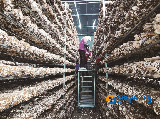 1651026810172685.png 09-28-46-56-283825.png