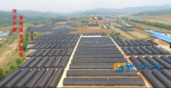 1651970555160866.jpg 14-13-43-88-283825.jpg