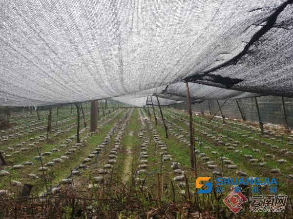 1653442164111394.jpg 11-23-08-77-283825.jpg