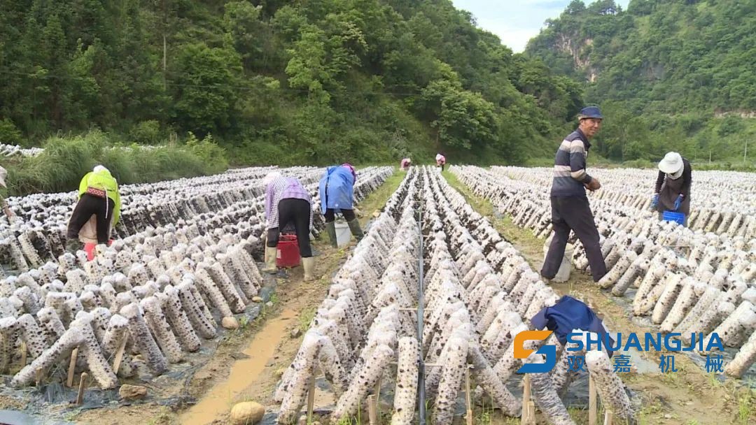 1655171833943756.jpg 15-59-50-35-283825.jpg