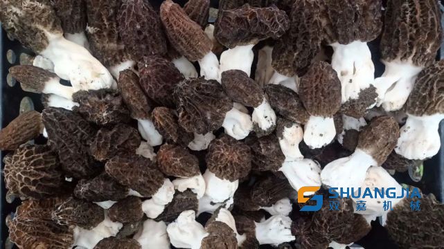 1655172004557964.jpg 14-38-57-27-283825.jpg